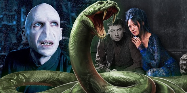 voldemort nagini Maledictus