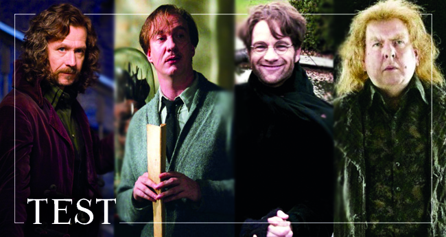 çapulcular hakkında test