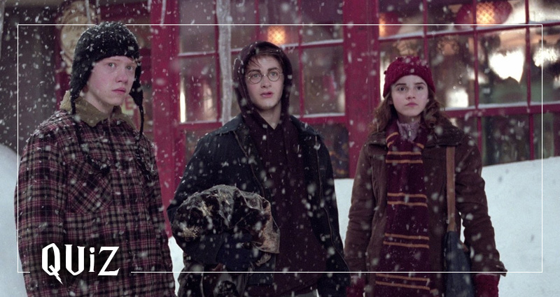 Noel Temalı Harry Potter Testi