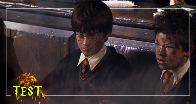 Harry Potter Testi
