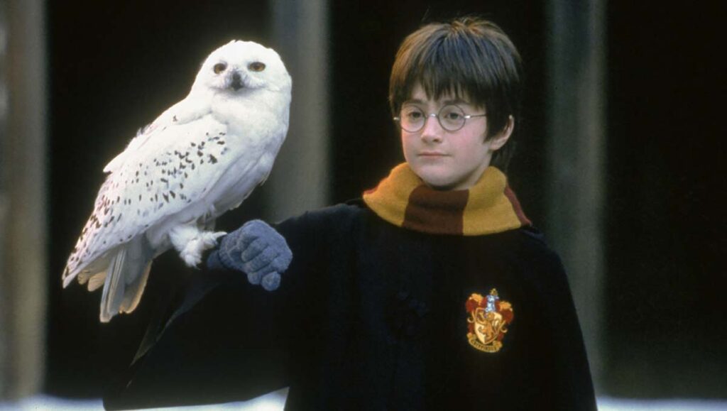 Harry Potter Felsefe Taşı Büyülü Taş