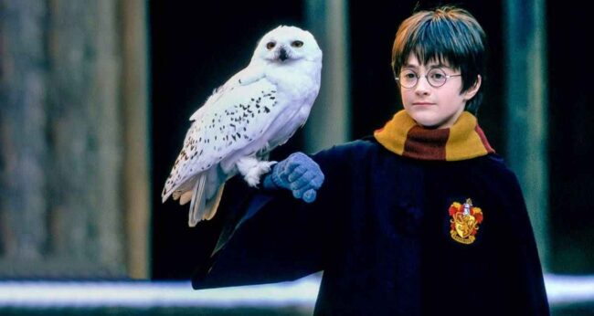 Harry Potter Dizisi Max