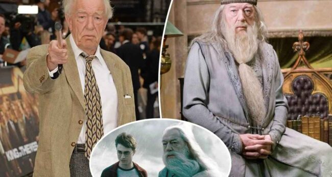 Harry Potter Michael Gambon - Albus Dumbledore