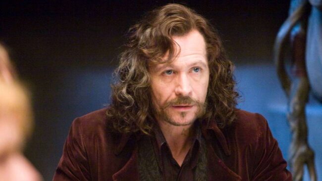 Gary Oldman - Hogwarts Binası Hufflepuff