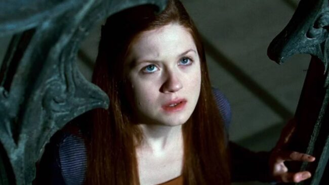 Harry Potter Dizisi Film Serisi
