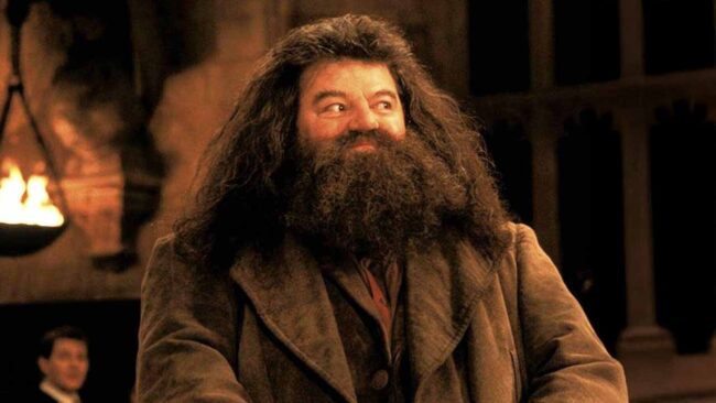 Hagrid Dönüyor: İşte Harry Potter Dizisinden İlk Görsel
