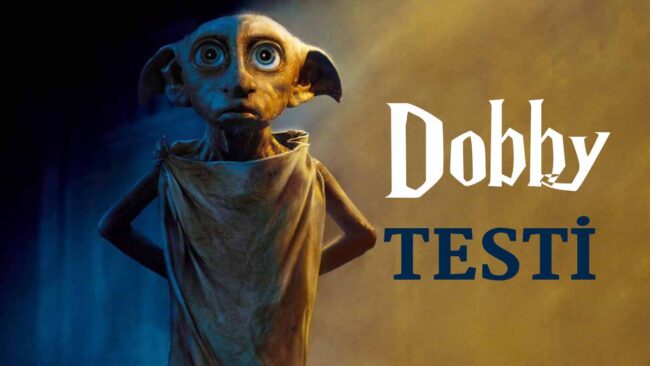 Dobby Temalı Zorlu Harry Potter Testi