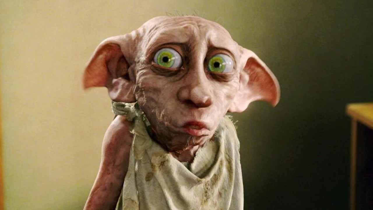 Dobby sapka olarak ne kullanmayi severdi