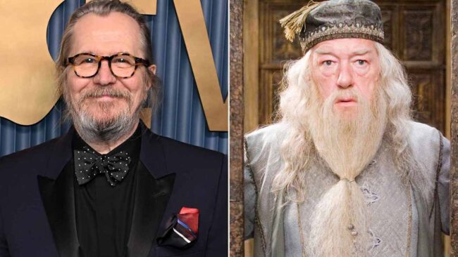 Gary Oldman Harry Potter Dizisi Albus Dumbledore