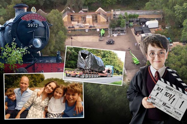 Harry Potter Dizisinin Setini Böcekler Bastı