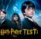 Harry Potter ve Felsefe Taşı Testi