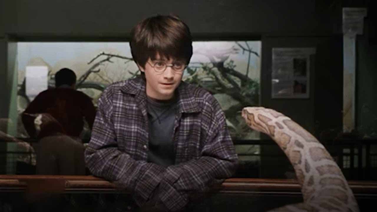 Harry Potter ve Felsefe Tasi Testi Hayvanat Bahcesi
