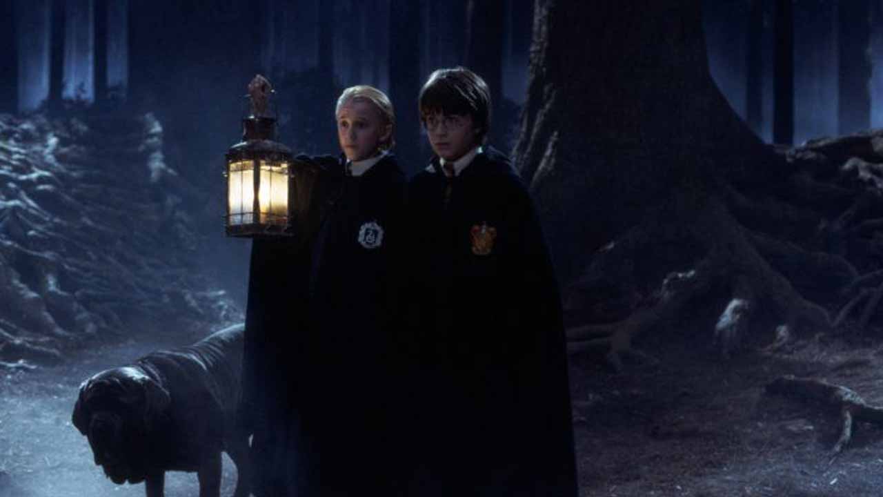 Harry Potter ve Felsefe Tasi Testi Yasak Orman