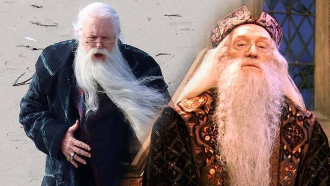 Harry Potter Dizisinde Albus Dumbledore Böyle Görünecek!