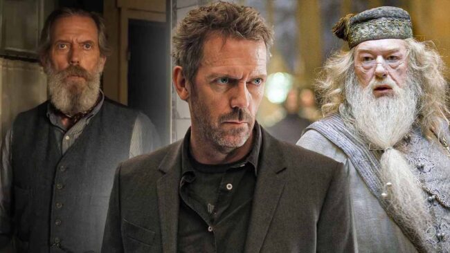 Hugh Laurie Albus Dumbledore Harry Potter