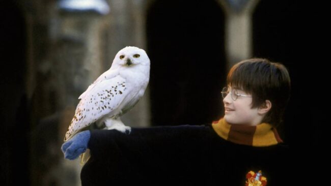 Daniel Radcliffe Favori Harry Potter Filmleri