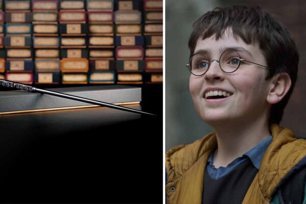 The Noble Collection Harry Potter Dizisi Asalarını Satacak