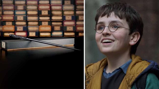 The Noble Collection Harry Potter Dizisi Asalarını Satacak