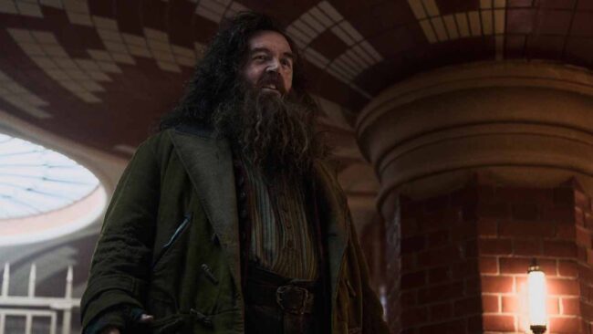 Harry Potter Dizisi Hagrid