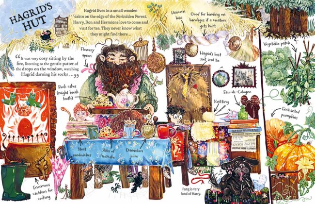 Pocket Potters: Hagrid - İç Sayfa Örnek