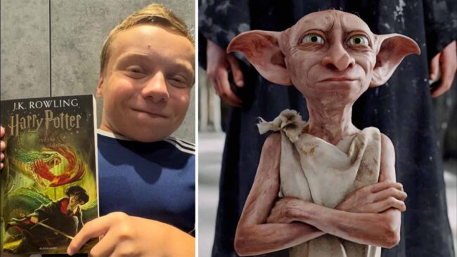 Harry Potter Dizisi Dobby Lenny Rush