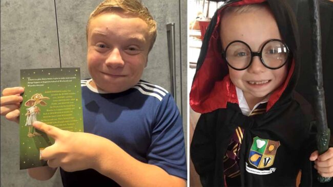 Harry Potter Yeni Dobby Lenny Rush