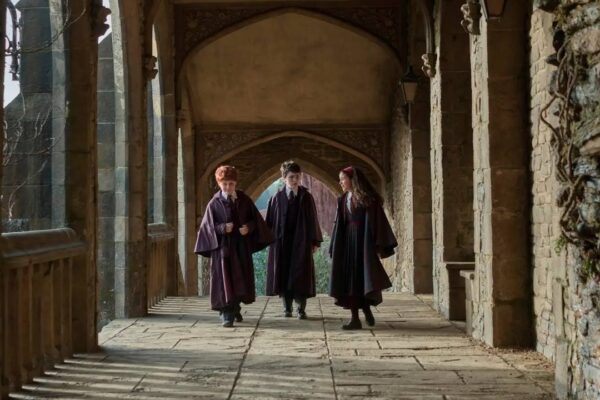 Harry Potter Dizisi James Lily Charlie Rolleri