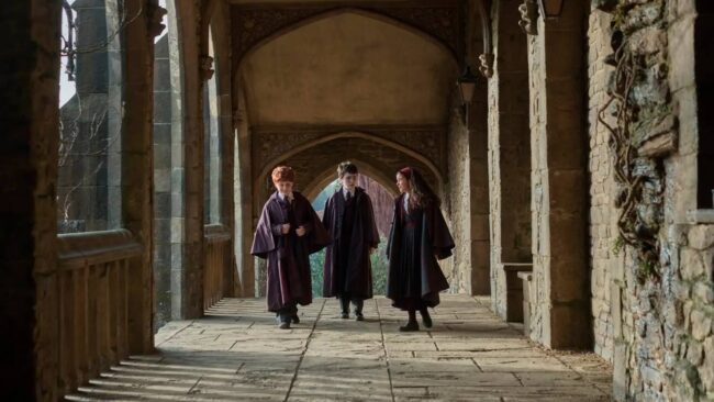Harry Potter Dizisi James Lily Charlie Rolleri